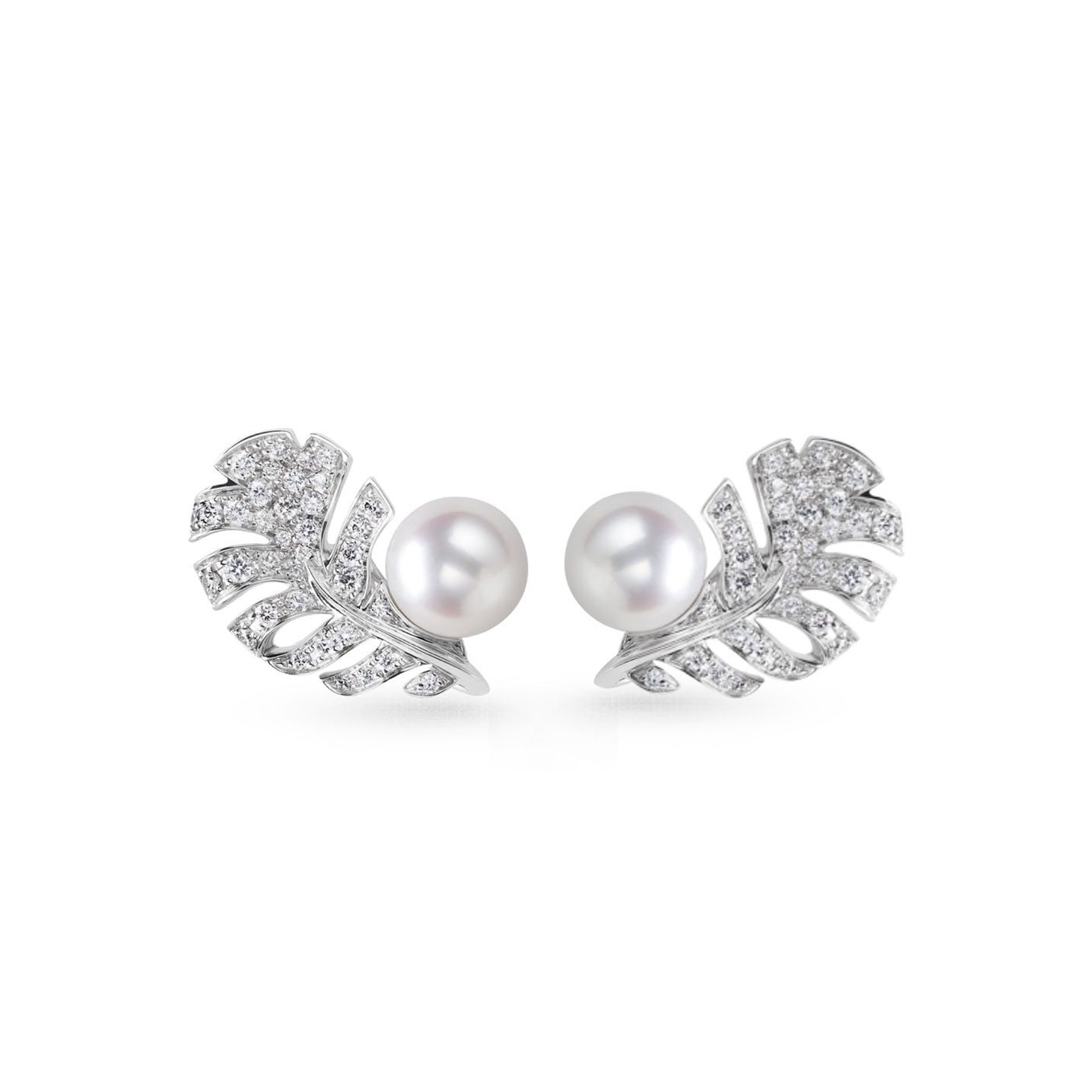 Ch*el plume de Ch*el earrings j10833
